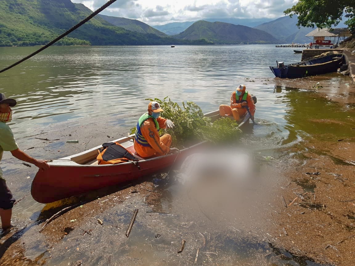 cuerpo de adulto mayor