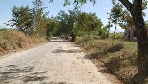 vía Chenche Asoleado - Purificación