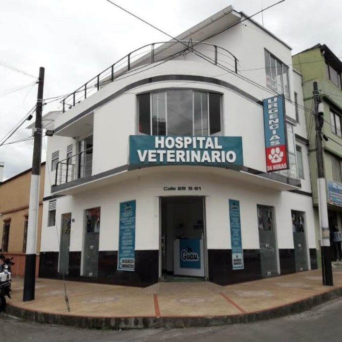 Roban a veterinaria