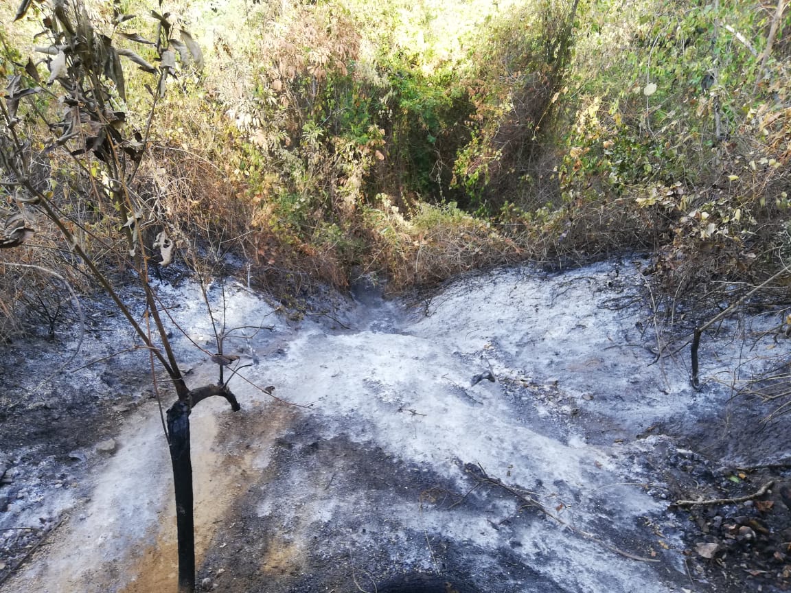 incendios forestales