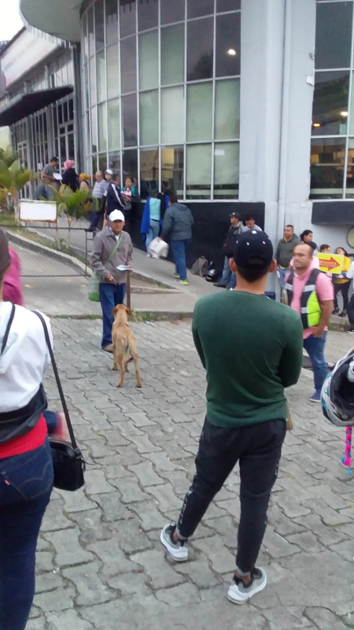 Secretaría de Movilidad de Ibagué