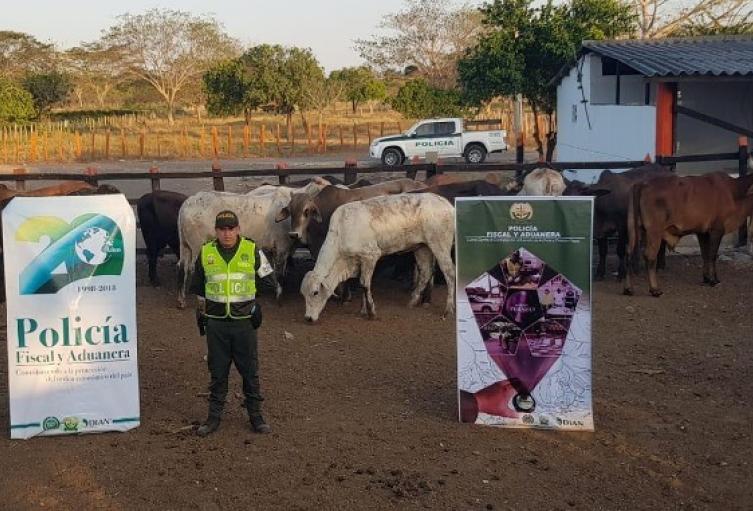 Contrabando sector agropecuario