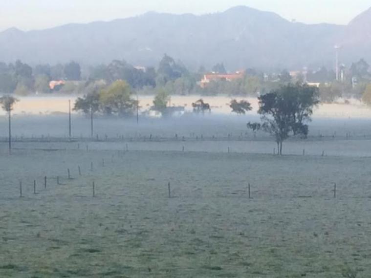 El anuncio fue hecho por el presidente del Banco, el tolimense Francisco Mejía