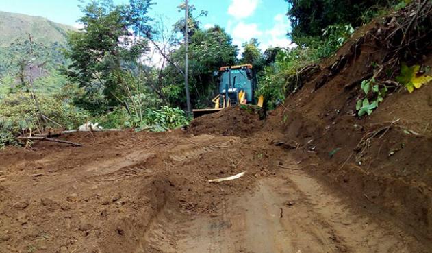 El alcalde advirtió que está a la espera de recibir apoyo de la gobernación del Tolima