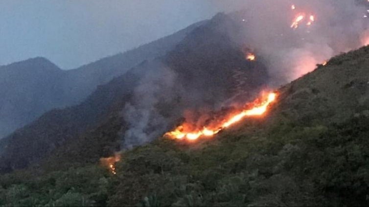 Incendios forestales en el Tolima