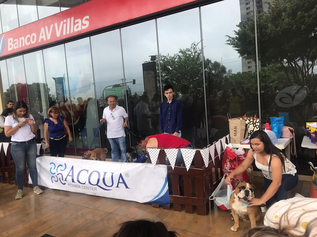Jornada de Adopción en Ibagué