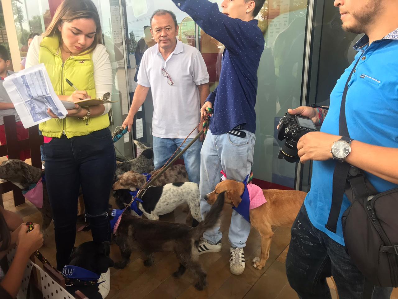 Jornada de Adopción en Ibagué