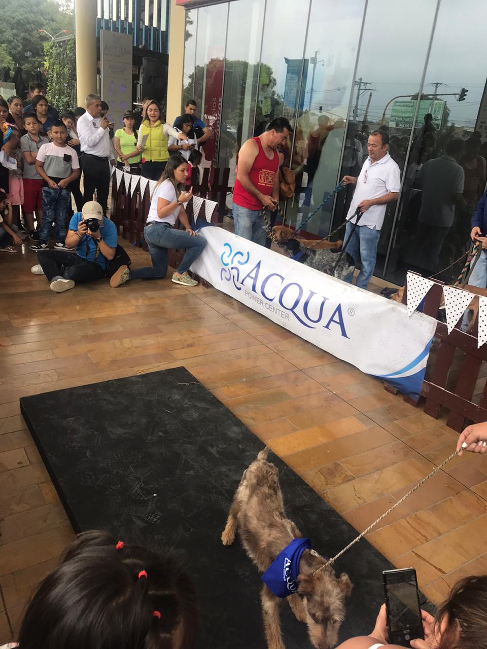 Jornada de Adopción en Ibagué