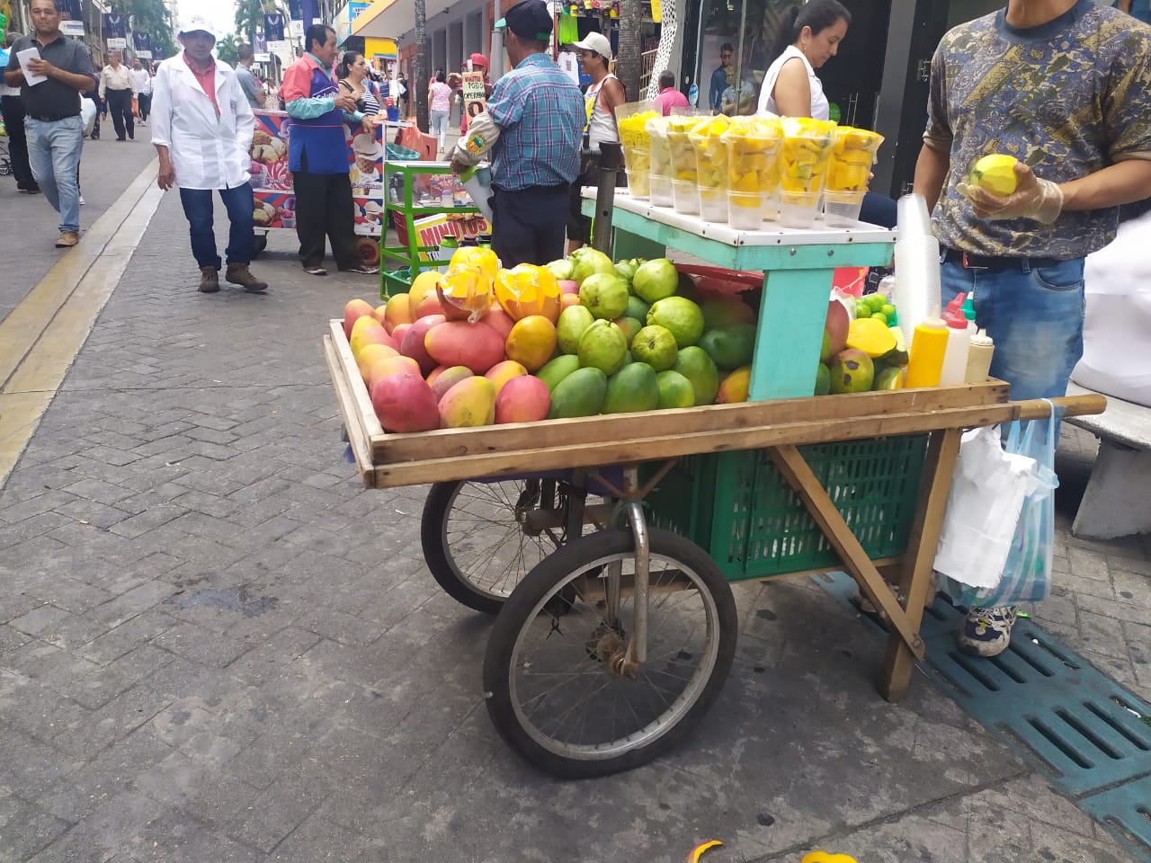 Vendedores Ambulantes Ibagué