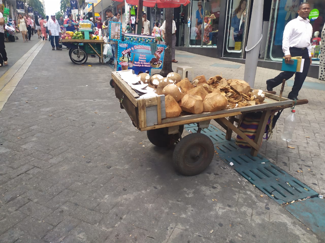 Vendedores Ambulantes Ibagué