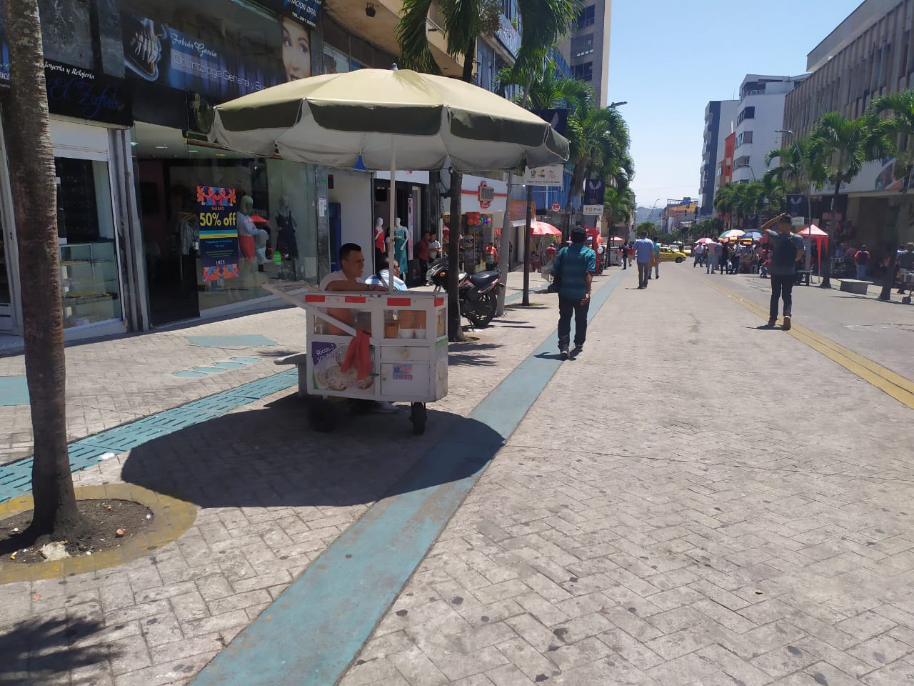 Vendedores Ambulantes Ibagué