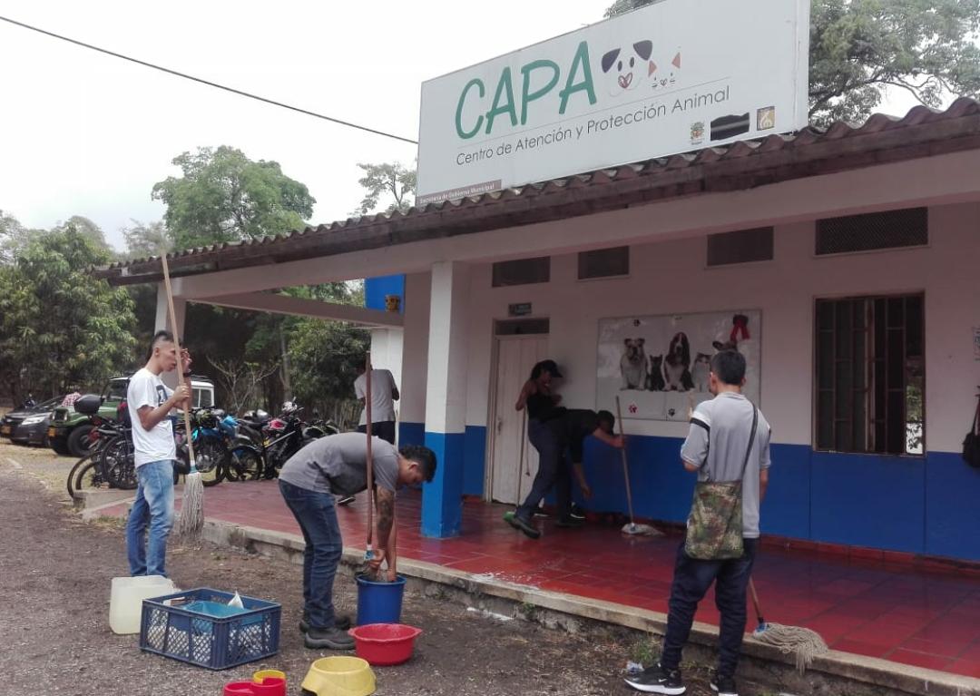 Infractores iniciaron trabajos de embellecimiento en el CAPA