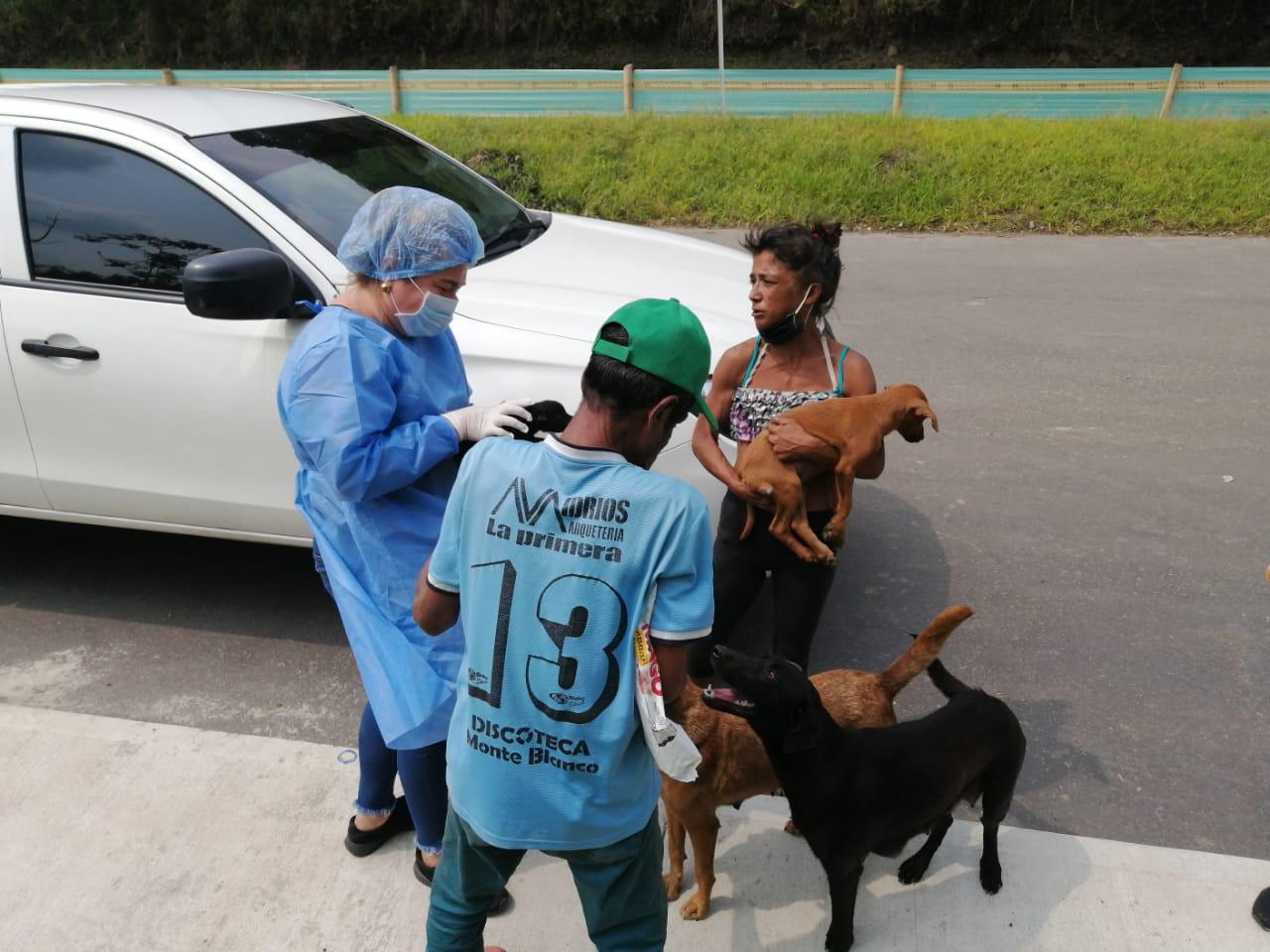 Animales rescatados de Ibagué