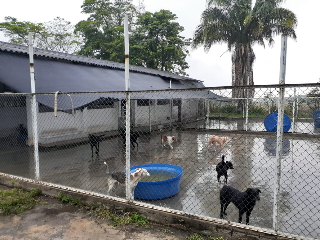jornada de adopción y donación en el CAP
