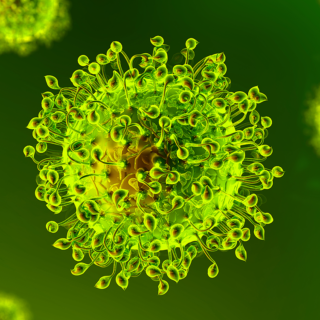 Coronavirus