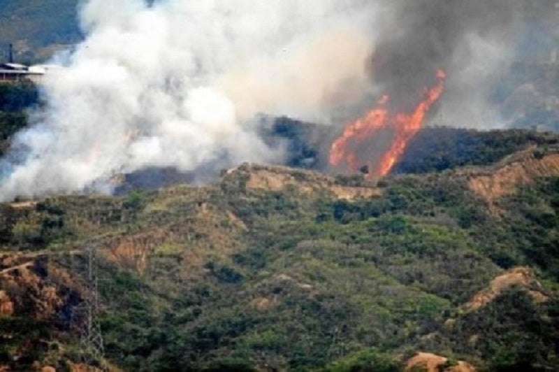 Se han presentado 73 incendios forestales con afectación de 1.250 hectáreas