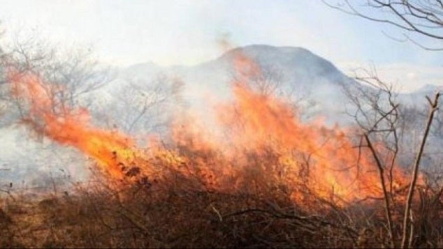 Se han presentado 769 incendios de cobertura vegetal en todo el país, de los cuales 765 han sido liquidados en su totalidad