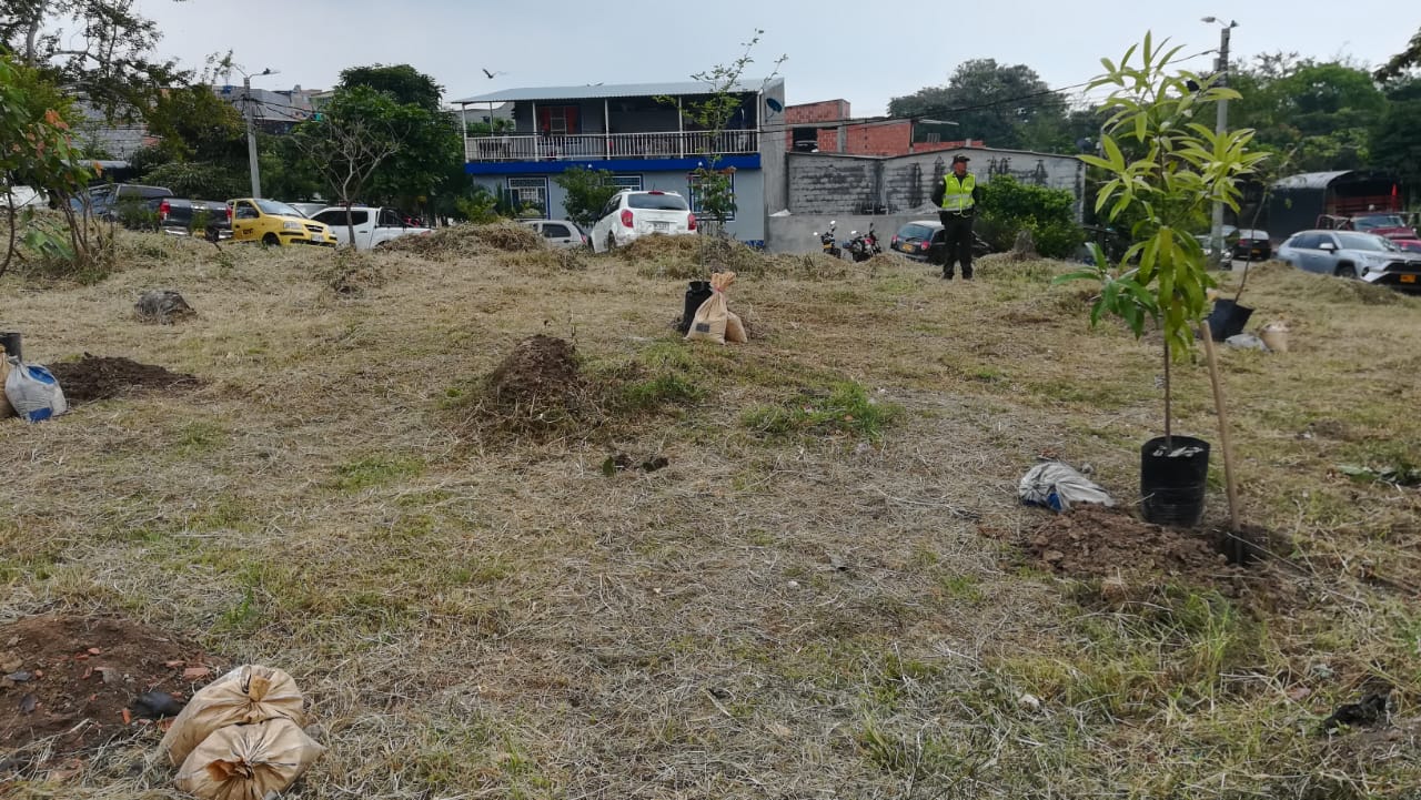 Sembratón en el Tolima