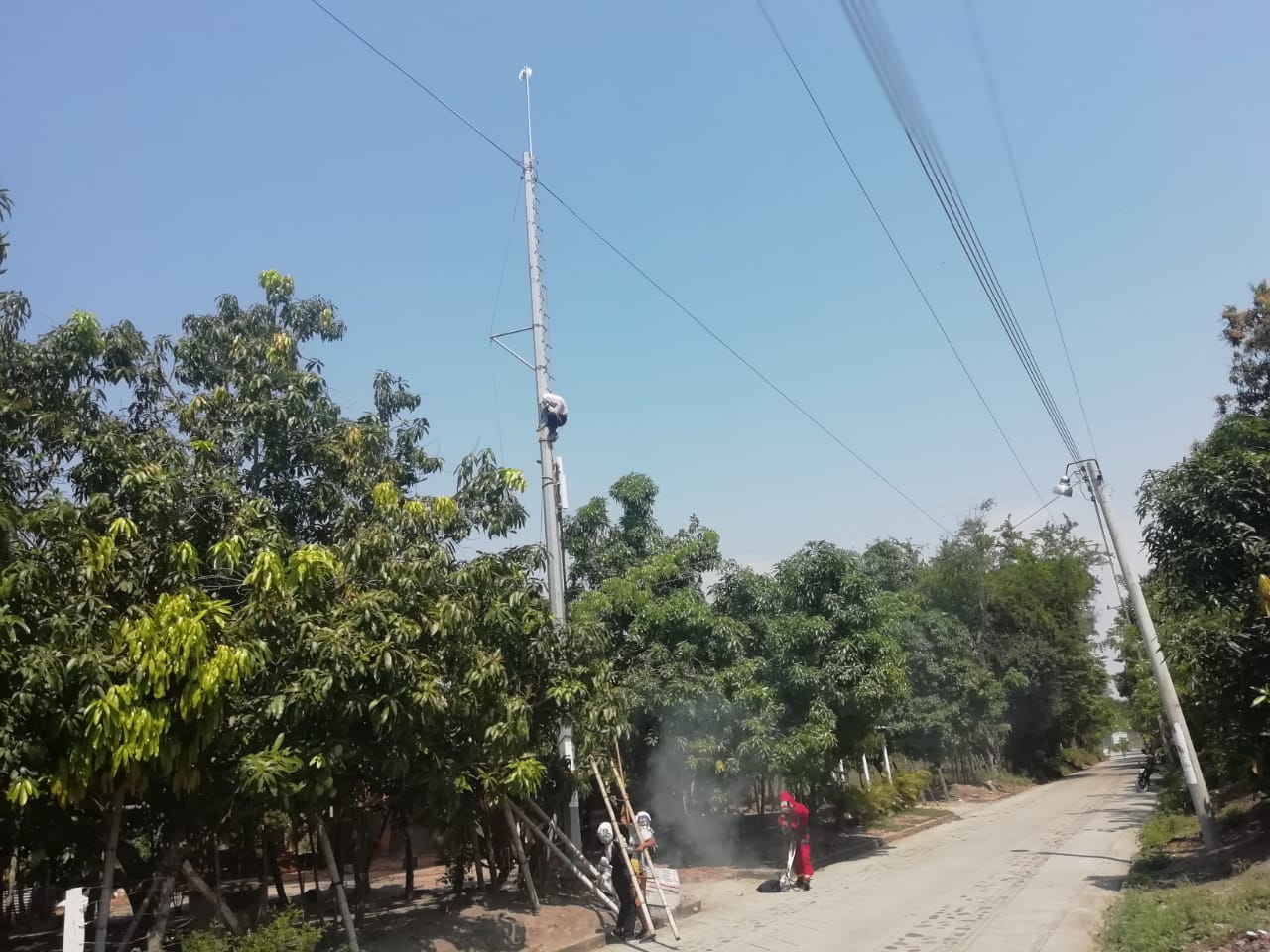 Hombre atacado por abejas en Gualanday