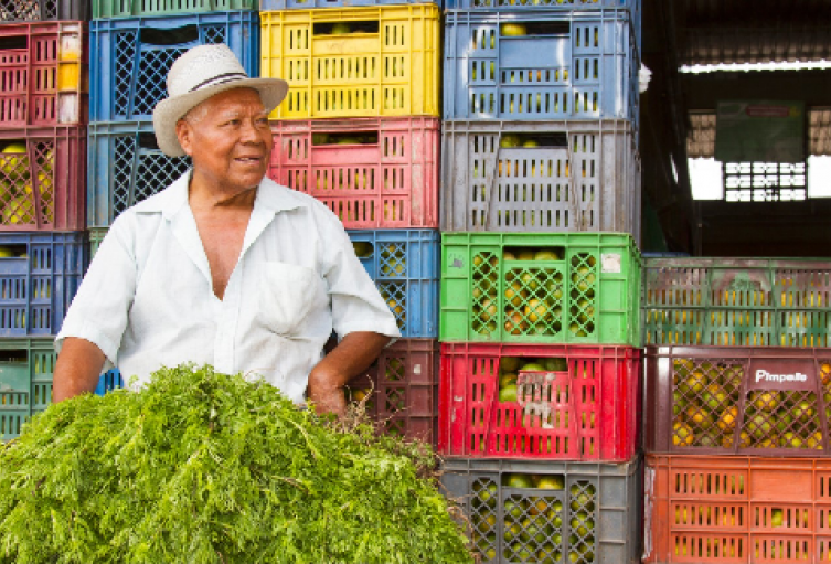 Alimentos para el abastecimiento en Ibagué, el departamento y cuidadas como Villavicencio y Bogotá