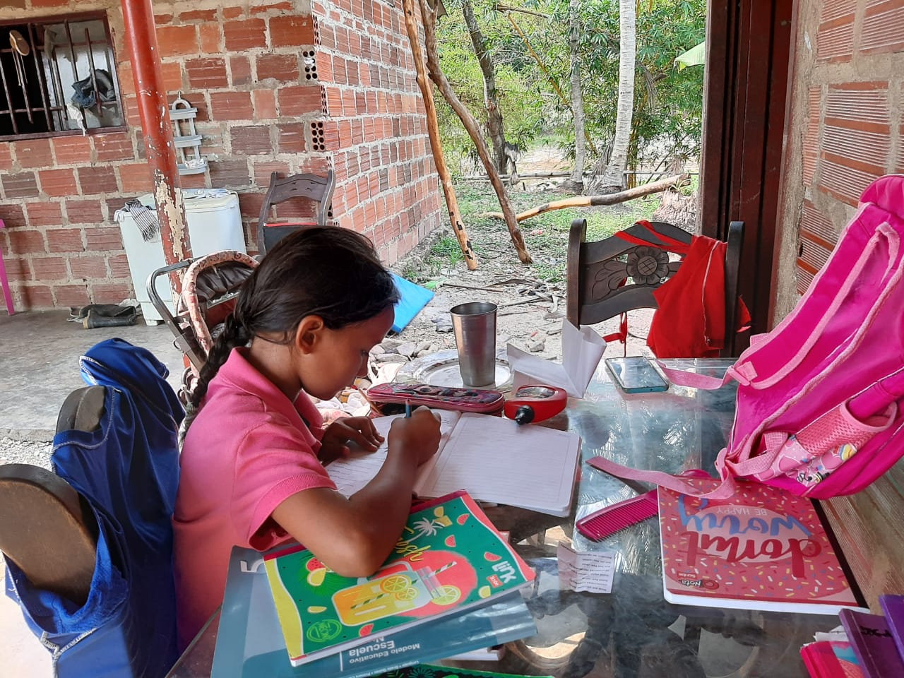 Estudiantes de zonas rurales reciben guías físicas, a falta de Internet