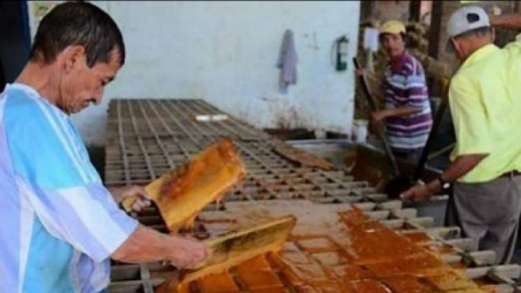 Debido a las medidas adoptadas en el marco del Aislamiento Preventivo Obligatorio, aumento el consumo de la panela en el departamento