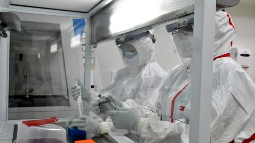 La distribución de los 32 casos en el Tolima, Ibagué 28 casos, Espinal 3 y Melgar 1