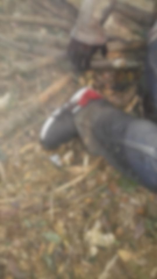 Cadáver Nueva Castilla