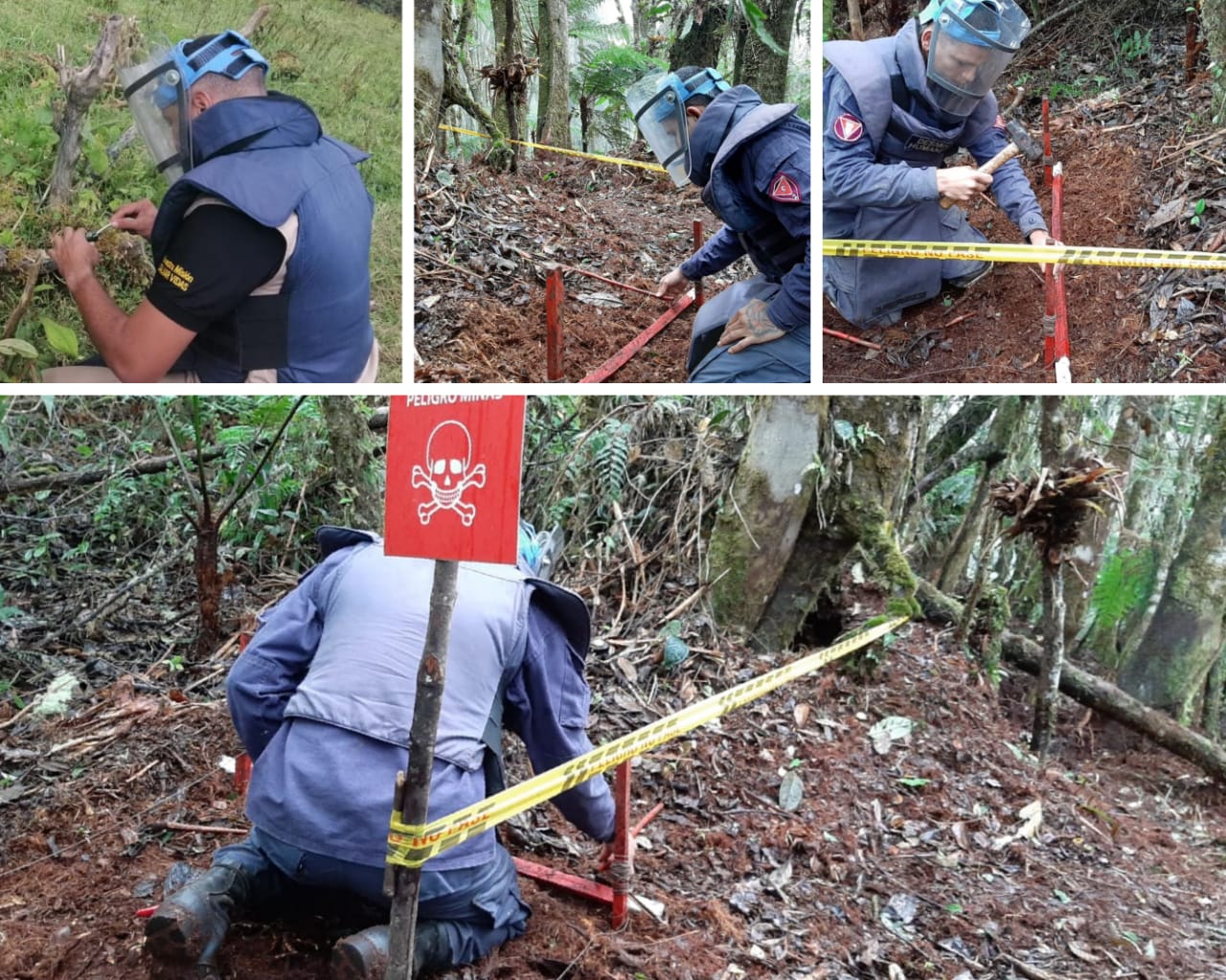 Proceso de desminado en el Tolima