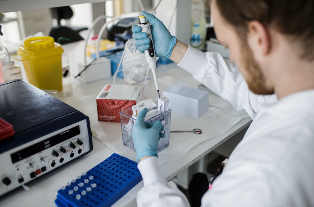 Cepas de la covid-19