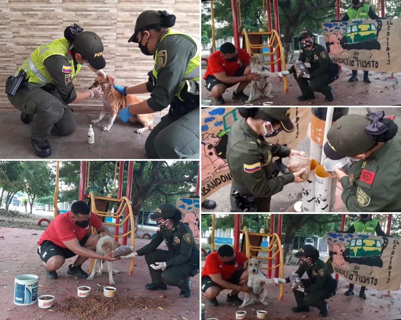 Campaña para cuidar a los perritos abandonados