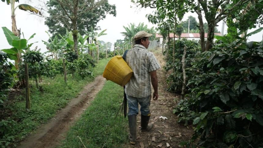 Sector rural de Ibagué