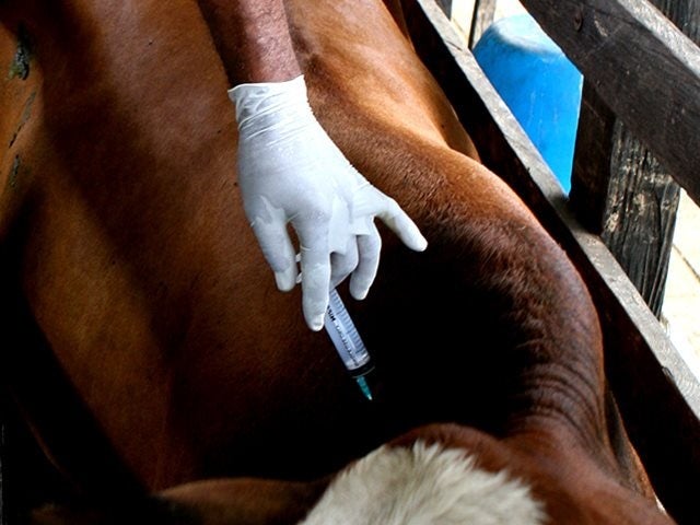 Ciclo de Vacunación que se cumplirá a partir del lunes 18 de mayo en los 47 municipios del territorio departamental