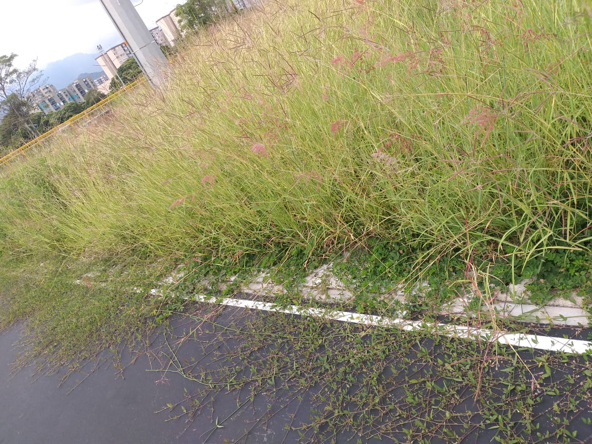 Escenarios Deportivos