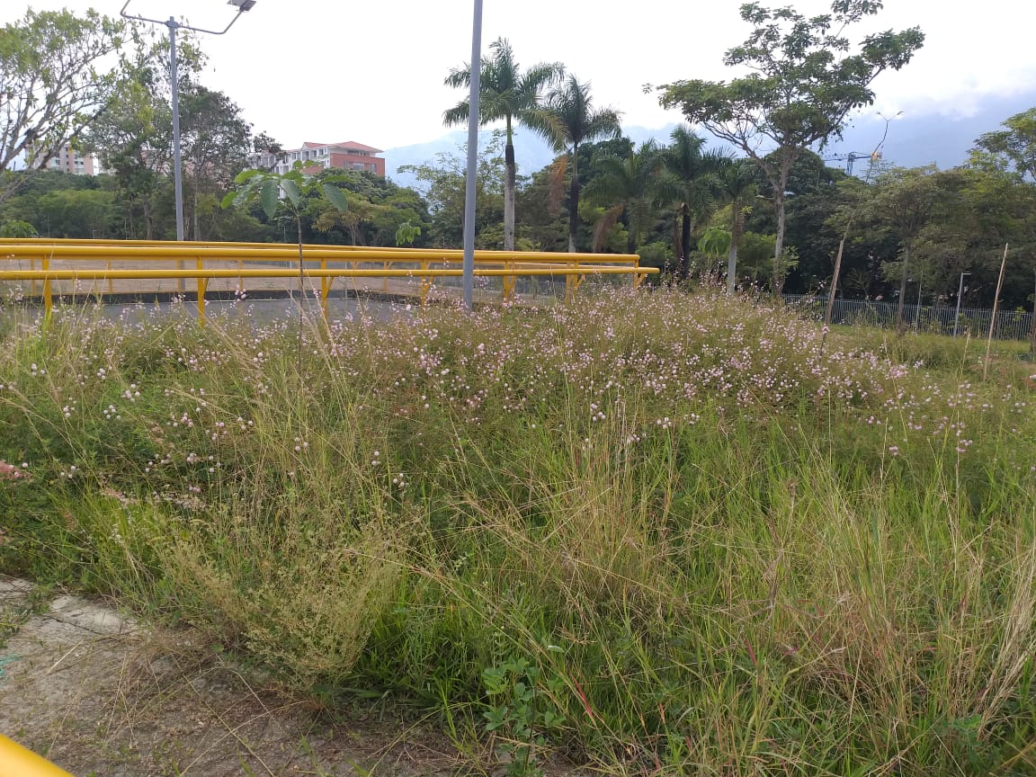 Escenarios Deportivos