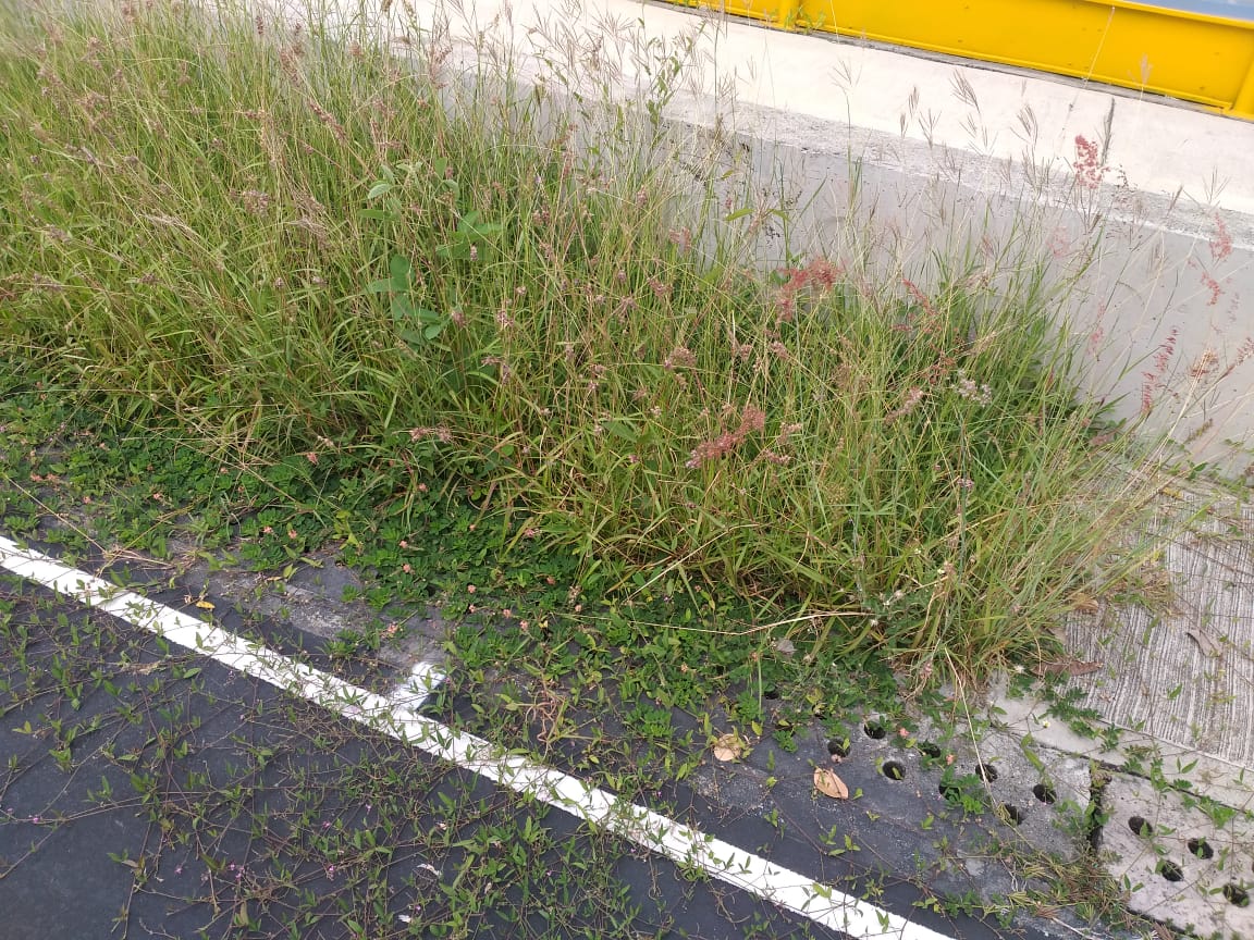 Escenarios Deportivos