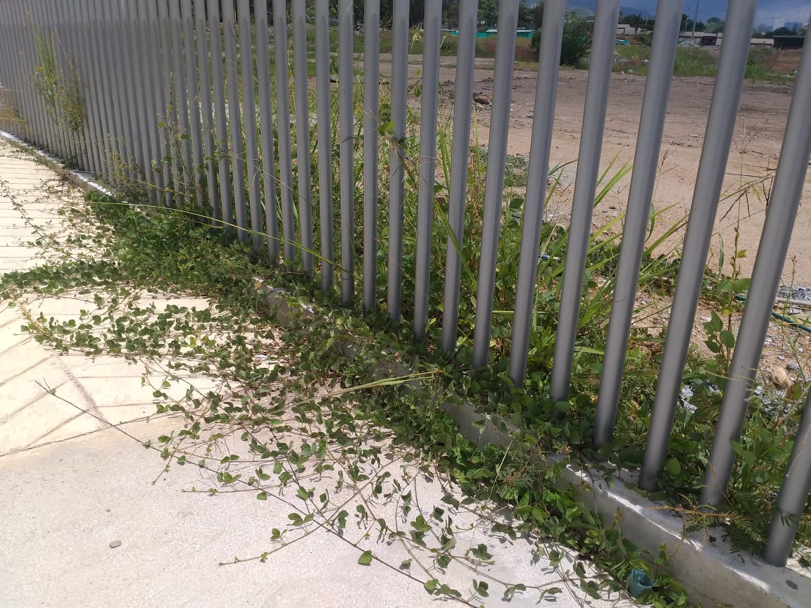 Escenarios Deportivos