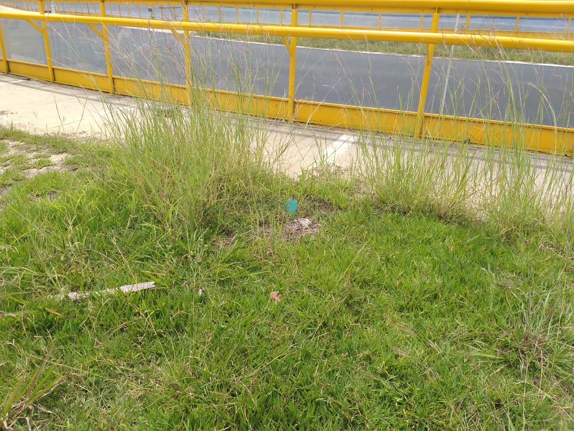 Escenarios Deportivos