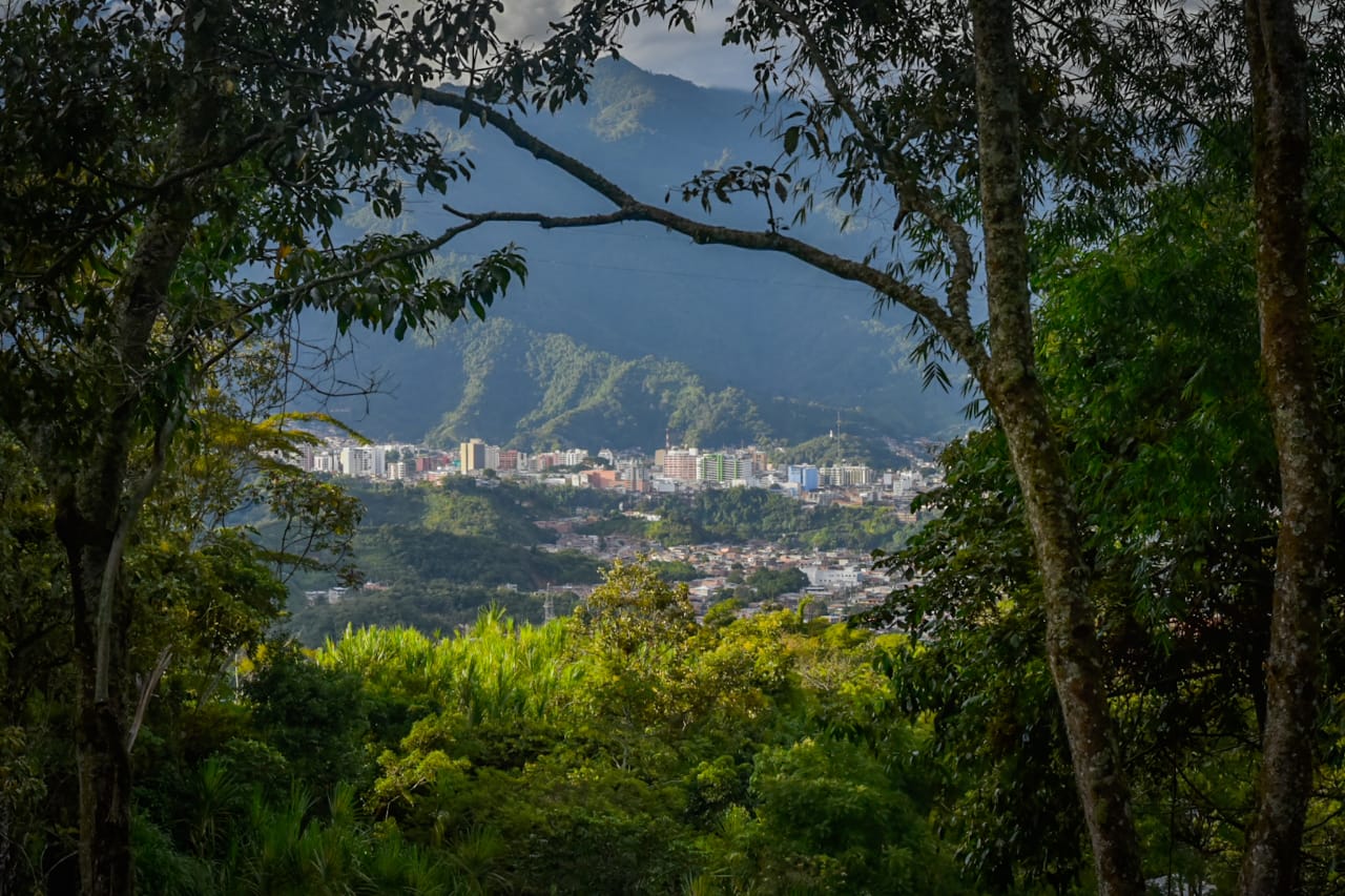 Con panel virtual Alcaldía conmemora el Día Mundial del Ambiente