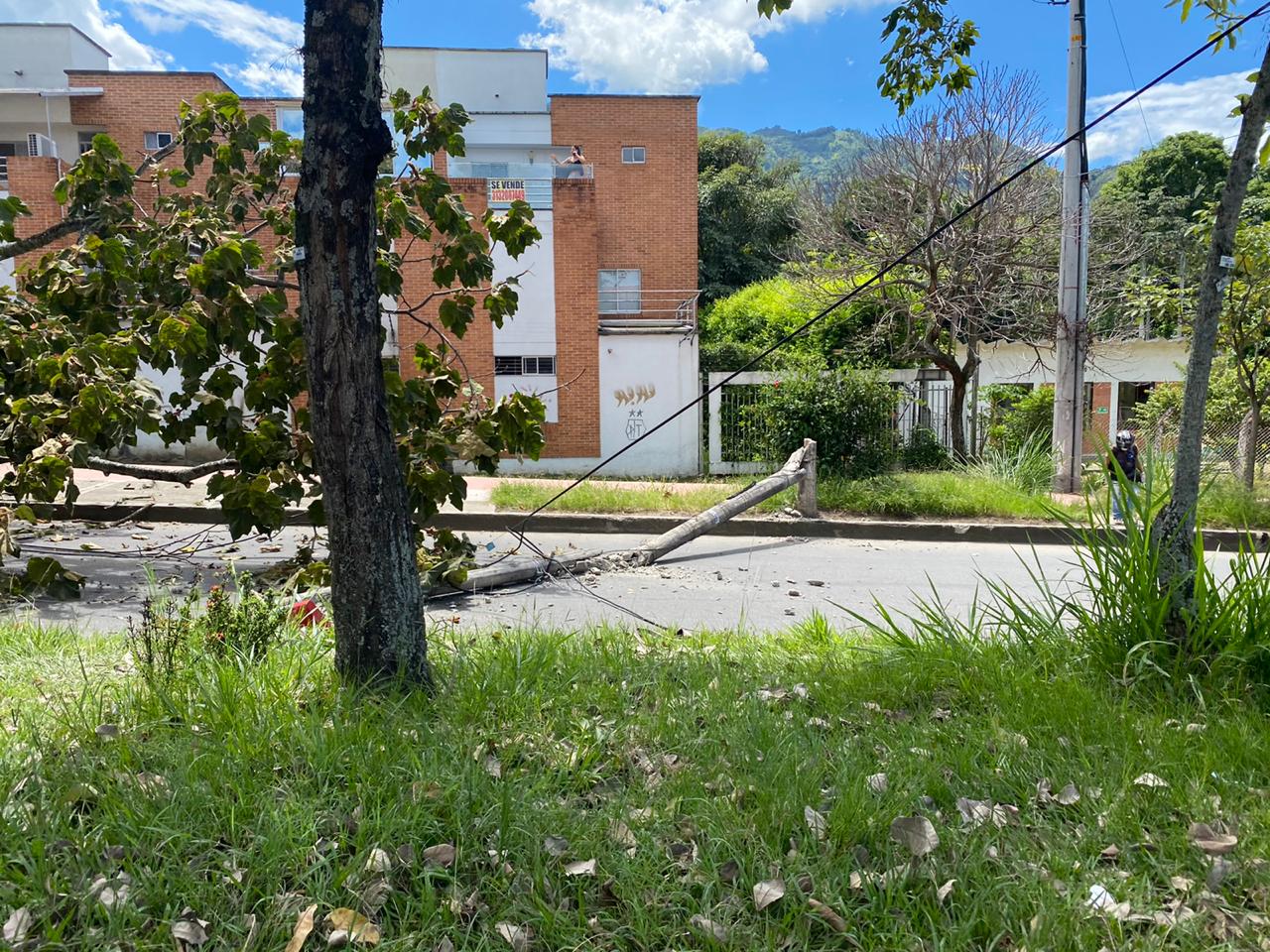 Árbol por poca causa tragedia en el barrio Pedregal de Ibagué