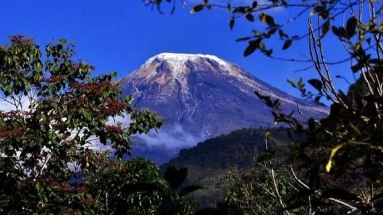 Foro virtual que será transmitido por la página de Facebook de las dos entidades, éste viernes a partir de las 9:00 de la mañana