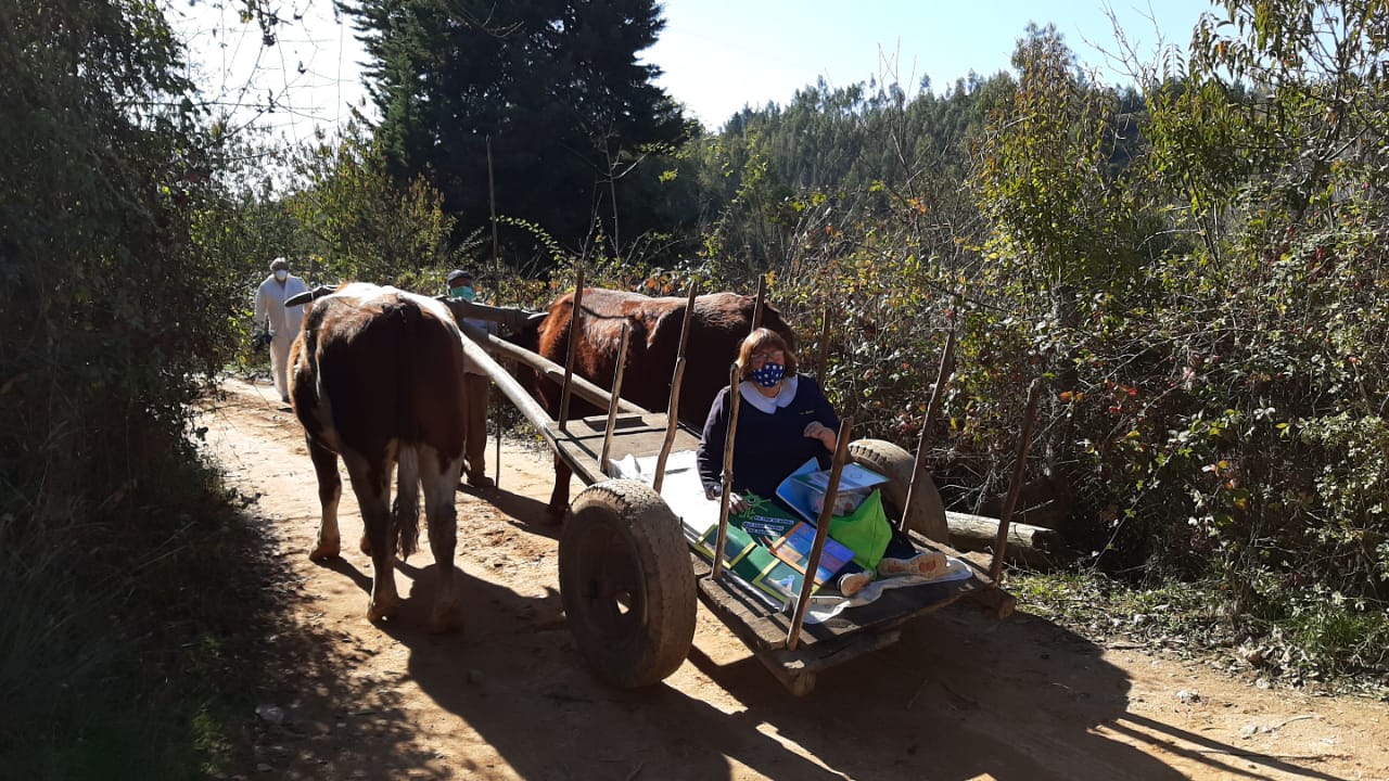 Profesora, en una carreta, entrega material educativo a niños sin acceso a internet