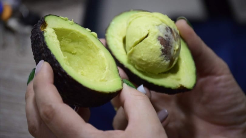 Más 80 containerts, cada uno con 22 mil kilos de aguacate Hass, llegarán al exigente mercado de la Unión Europea