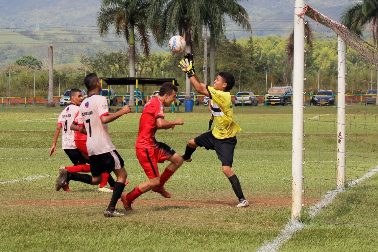 Cursos liga de futbol