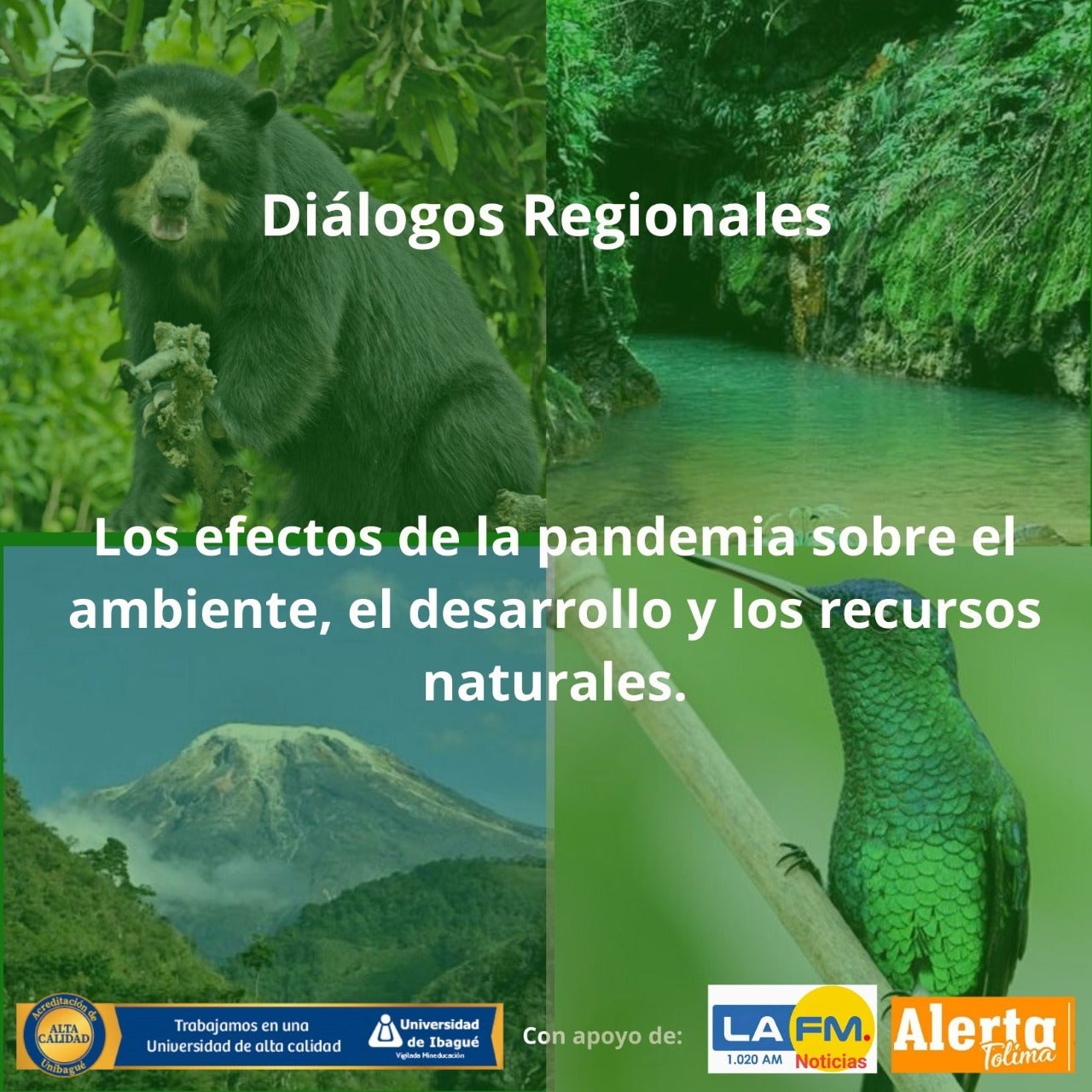 Retornar de la pandemia podría promover el cambio climático