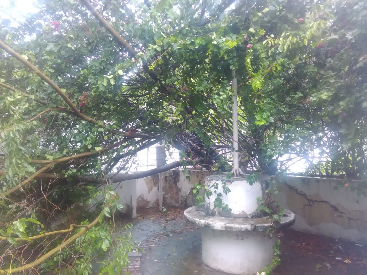 Emergencias por lluvias en el Tolima