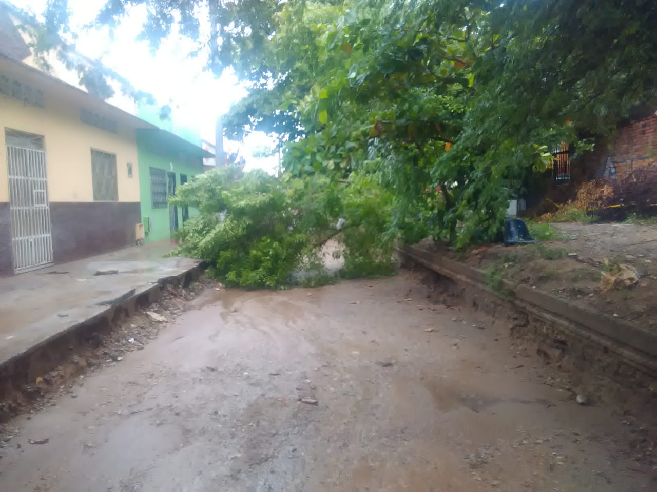 Emergencias por lluvias en el Tolima