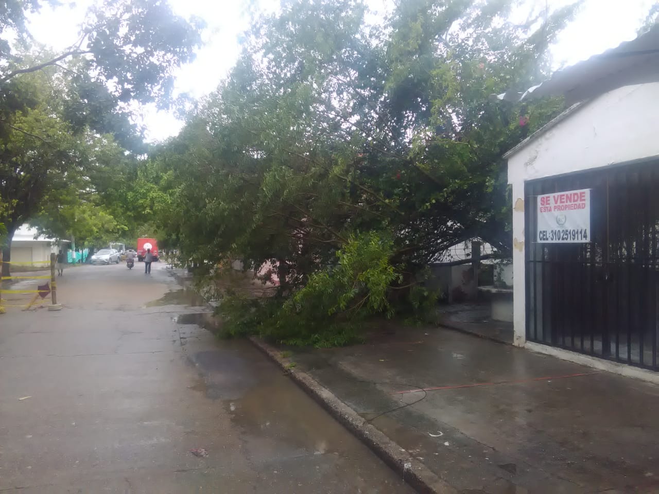 Emergencias por lluvias en el Tolima