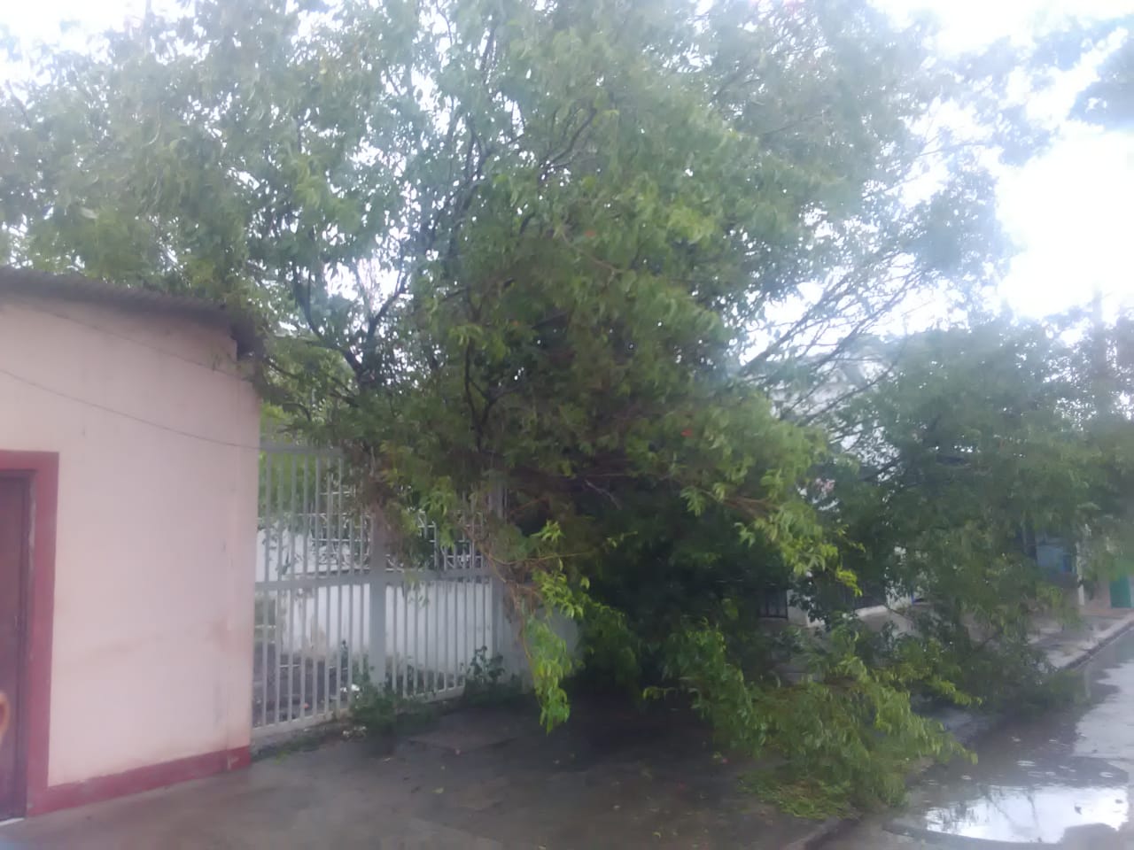 Emergencias por lluvias en el Tolima