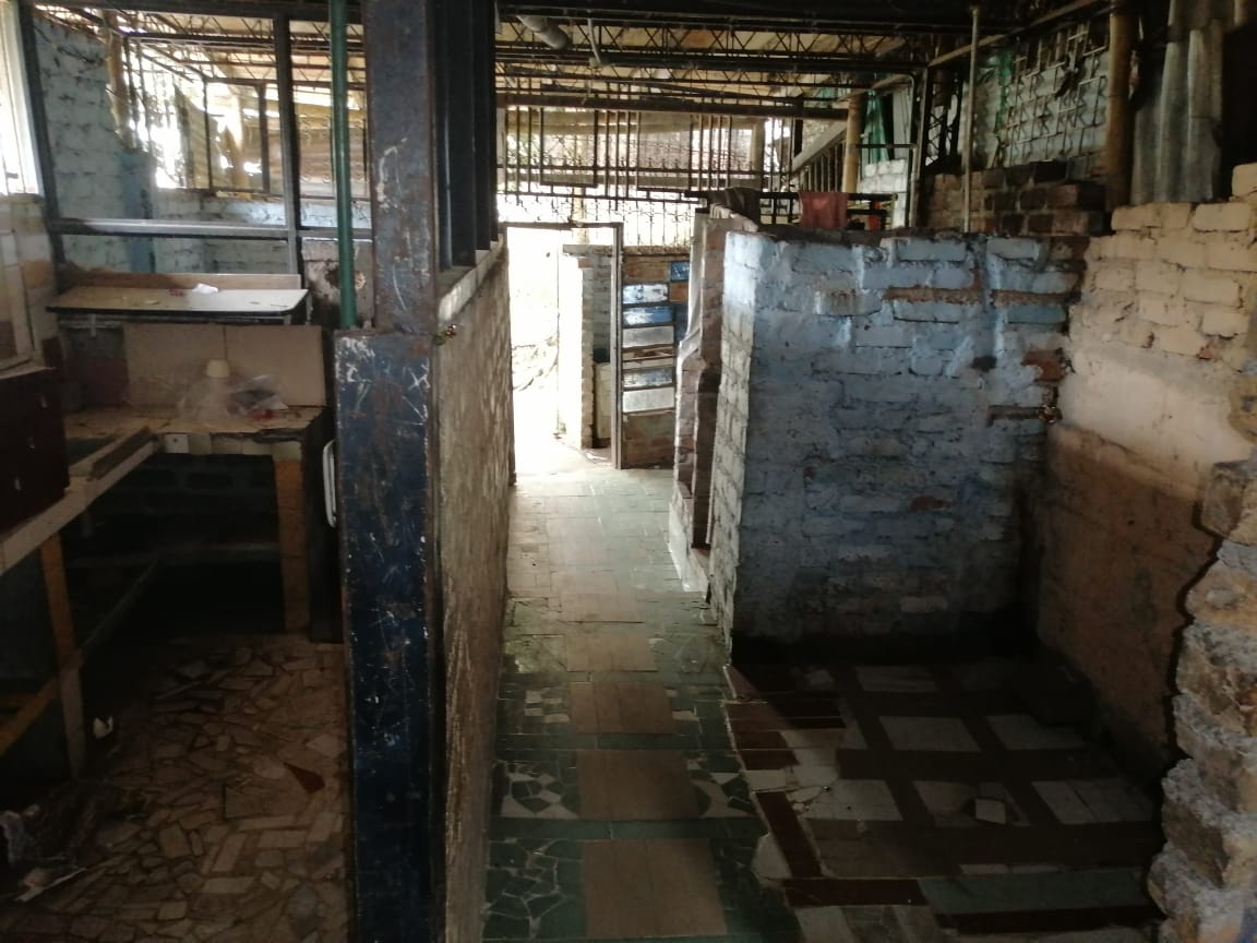 San Pedro Alejandrino